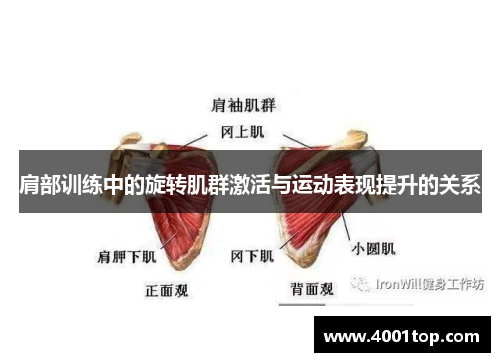 肩部训练中的旋转肌群激活与运动表现提升的关系